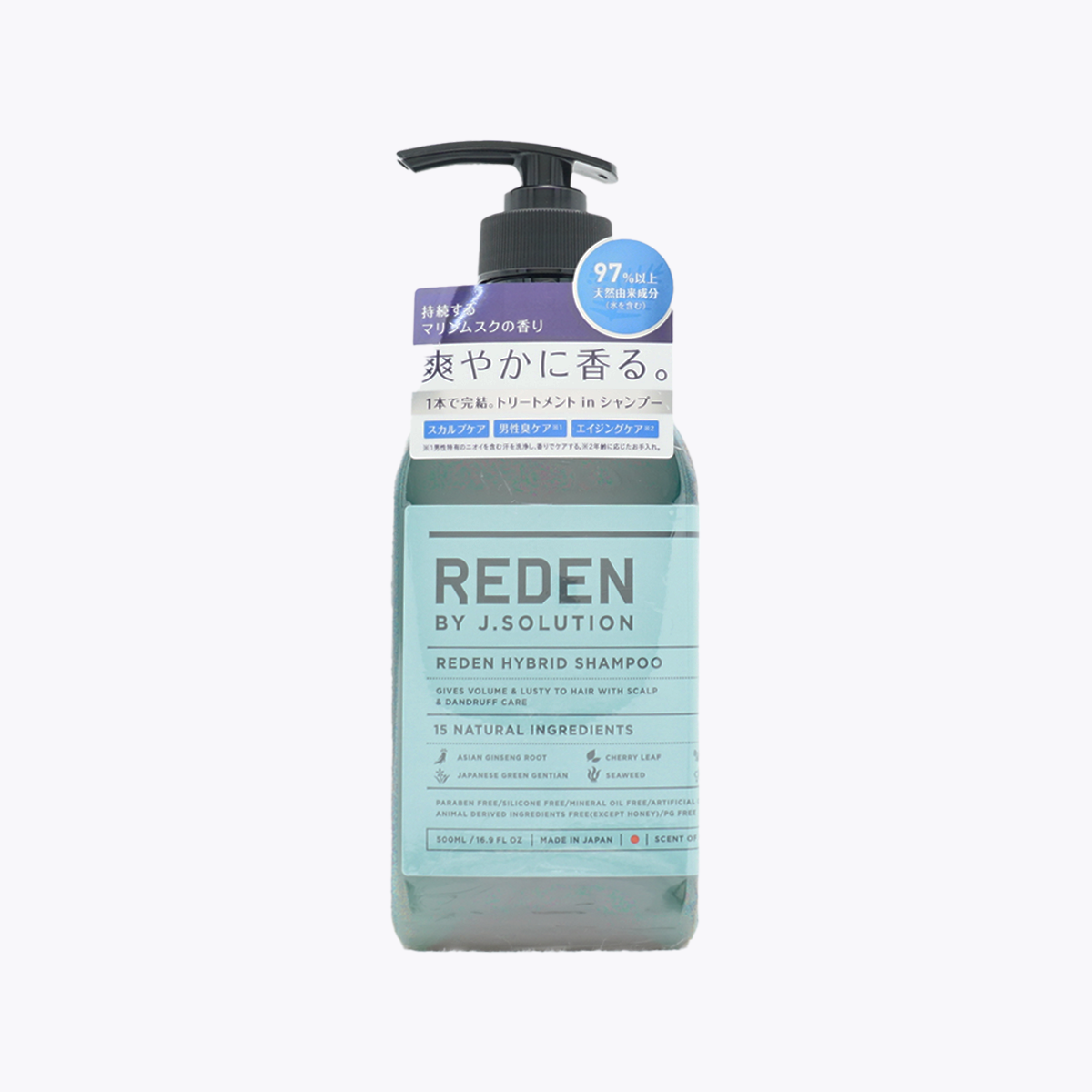 REDEN 紳士機能洗髮精 R2 海洋麝香 頭皮護理 體味護理 500ml