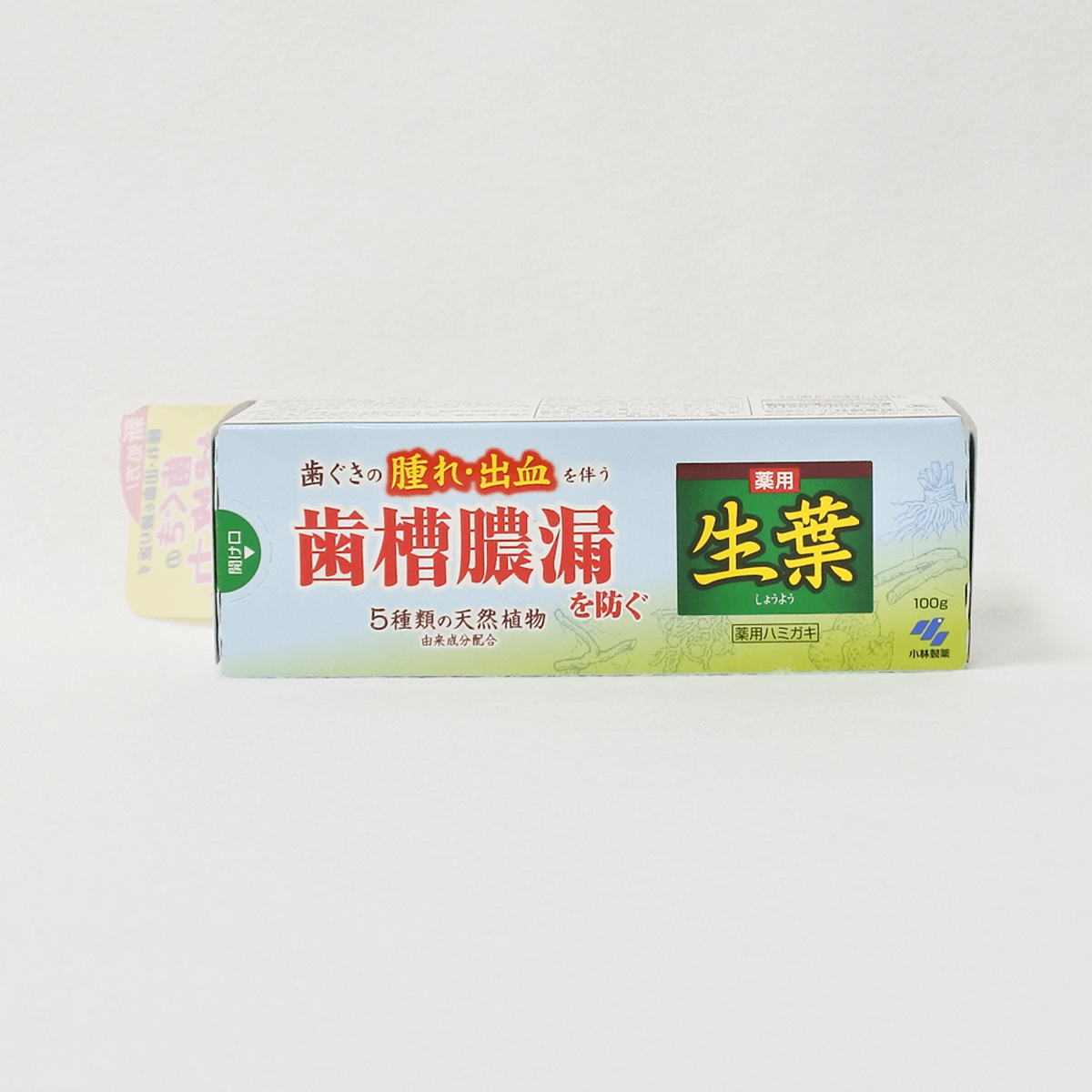 小林製藥 生葉齒槽膿漏 藥用牙膏 100g
