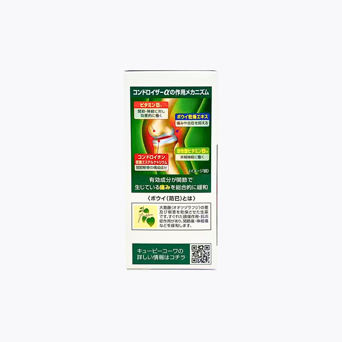 【第2類醫藥品】興和 QP Kowa Chondroizerα 軟骨素 關節痛 神經痛 270錠 45日分