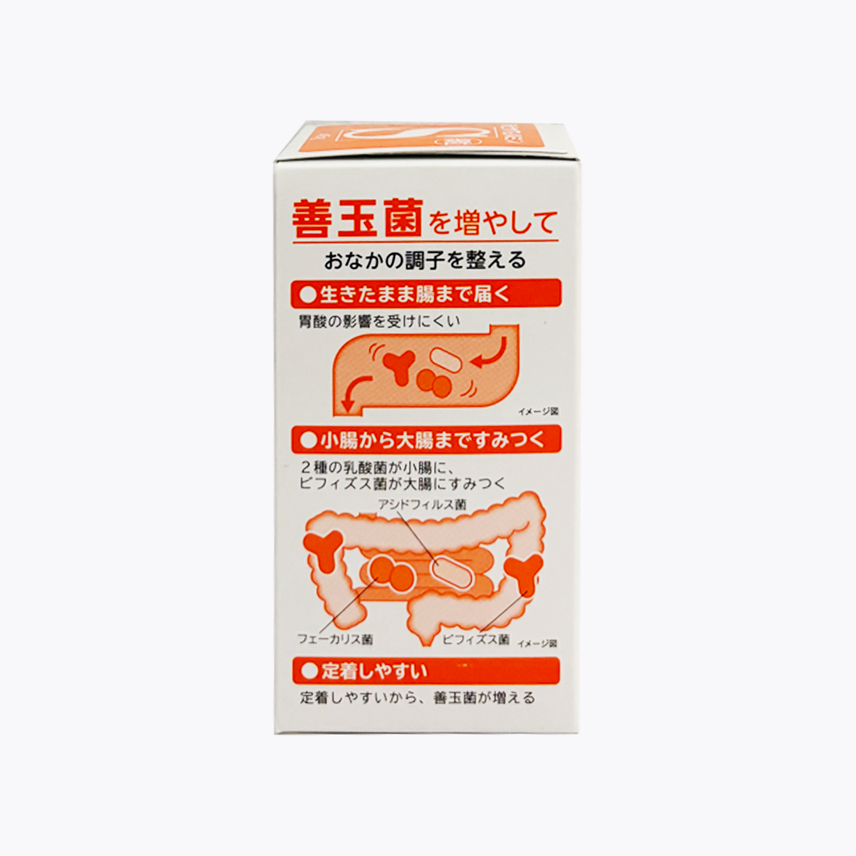 【指定醫藥部外品】大正製藥 新表飛鳴S 顆粒 45g