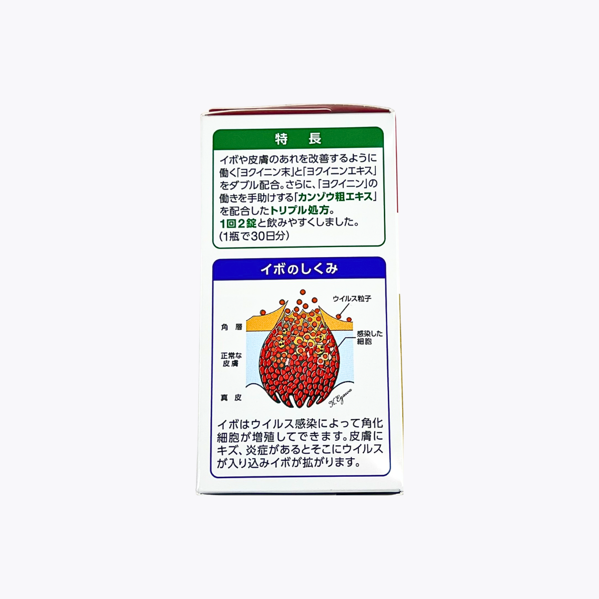 【第2類醫藥品】橫山製藥 ibokorori 口服錠 PREMIUM 適用於頸部、臉 180錠 30日分