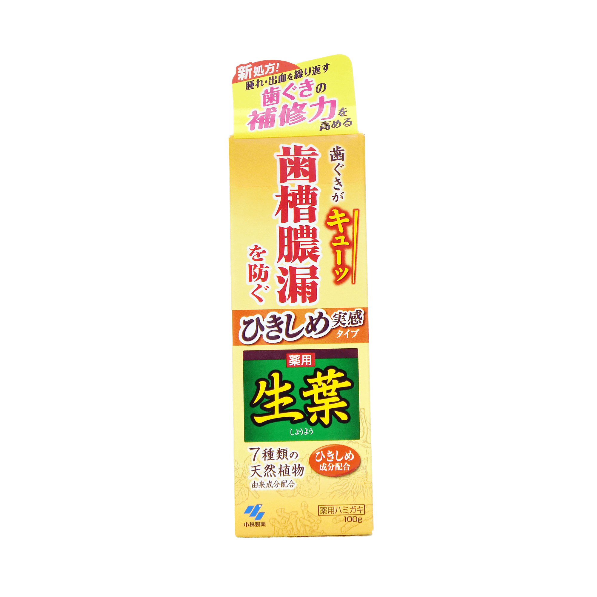 小林製藥 生葉齒槽膿漏藥用牙膏100g（收斂型）