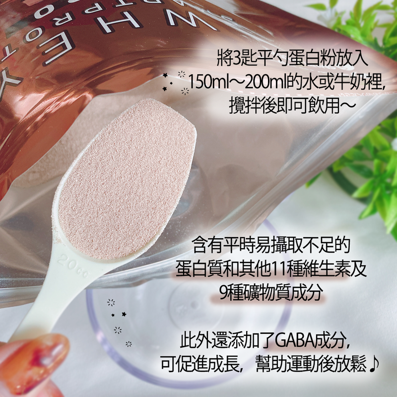 SMARTPROTEIN 乳清蛋白粉 香醇可可味 360g